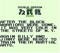 Double Dragon 2
